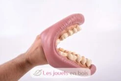 Riesiges Dental-Demonstrationsset - TickiT 11 Riesiges Dental-Demonstrationsset - TickiT -Modell Spielzeug Für Kinder 03083 tickit kit geant demonstration dentaire machoire dents 3