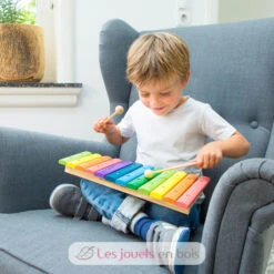 New Classic Toys® Xylophon 12 Töne - New Classic Toys -Modell Spielzeug Für Kinder 10236 new classic toys xylophone bois 12 tons enfant imitation musique 2