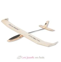 Lilienthal 40 RC - Aero-naut