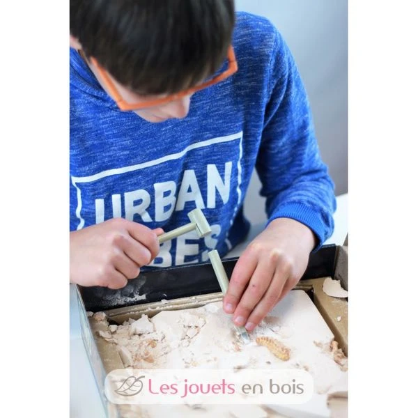 Dino Dig T-Rex Und Raptor - Buki France 4 Dino Dig T-Rex Und Raptor - Buki France – Bild 4