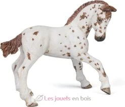 Appaloosa Hengst - Papo