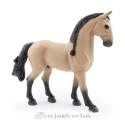 Lusitano-Pferd - Papo