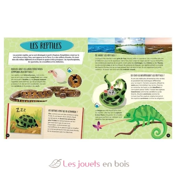 Atlas Tiere - Sassi Junior 5 Atlas Tiere - Sassi Junior – Bild 5