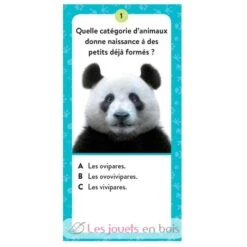 Atlas Tiere - Sassi Junior 12 Atlas Tiere - Sassi Junior -Modell Spielzeug Für Kinder 7650 sassi junior le coffret mega atlas des animaux 5