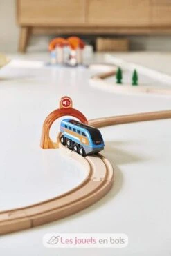 Smart Tech Sound Lok Mit Aufnahmefunktion - Brio -Modell Spielzeug Für Kinder brio 33971 locomotive enregistreur vocal smart tech sound 6