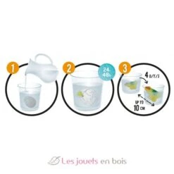 Magisches Ei - Buki France 7 Magisches Ei - Buki France -Modell Spielzeug Für Kinder d6g buki dino oeuf magique 3