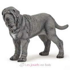 Mastino Napoletano - Papo