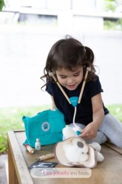 Mein Tierarztkoffer - Plan Toys -Modell Spielzeug Für Kinder kit veterinaire enfant plan toys