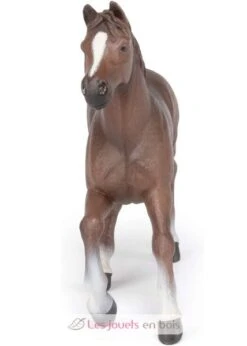 Anglo-Araber Stute - Papo -Modell Spielzeug Für Kinder papo 51075 figurine jument anglo arabe collection enfant cheval