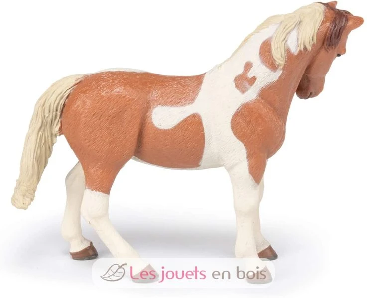 Pinto Stute - Papo 2 Pinto Stute - Papo – Bild 2