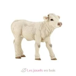 Charolais-Kalb - Papo