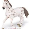 Appaloosa Stute - Papo