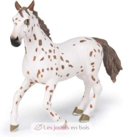 Appaloosa Stute - Papo