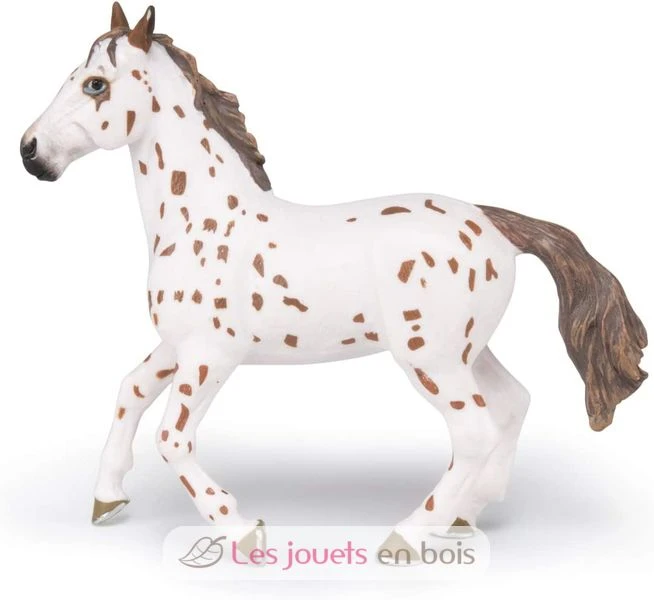Appaloosa Stute - Papo 2 Appaloosa Stute - Papo – Bild 2