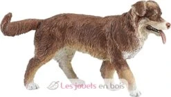 Australian Shepherd - Papo