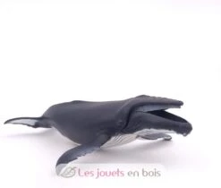 Buckelwal - Papo -Modell Spielzeug Für Kinder papo 56001 figurine animaux baleine a bosse