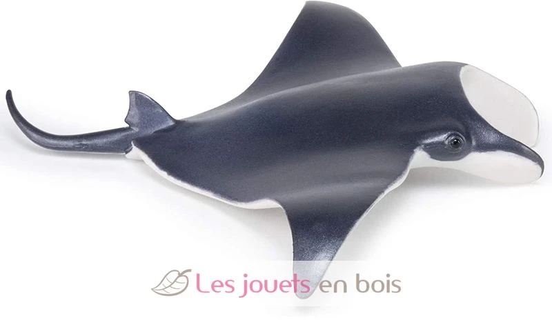 Manta - Papo 4 Manta - Papo – Bild 4