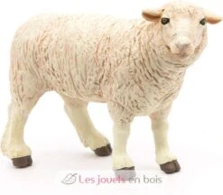 Merino-Schafe - Papo