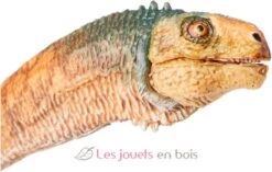 Chilesaurus - Papo -Modell Spielzeug Für Kinder papo chilesaurus les dinosaures figurine 55082 jeu jouet