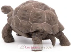 Galapagos-Riesenschildkröte - Papo -Modell Spielzeug Für Kinder papo figurines a collectionner tortue des galapagos animaux sauvages 50161 jeu