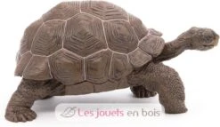 Galapagos-Riesenschildkröte - Papo -Modell Spielzeug Für Kinder papo figurines a collectionner tortue des galapagos animaux sauvages 50161 jeu jouet