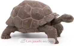 Galapagos-Riesenschildkröte - Papo -Modell Spielzeug Für Kinder papo figurines a collectionner tortue des galapagos animaux sauvages 50161 jeu jouets