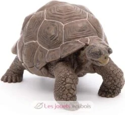 Galapagos-Riesenschildkröte - Papo -Modell Spielzeug Für Kinder papo figurines a collectionner tortue des galapagos animaux sauvages 50161 jeu jouets enfant