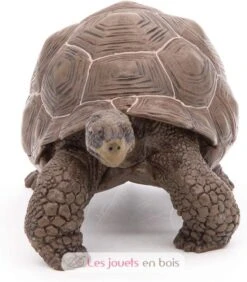Galapagos-Riesenschildkröte - Papo -Modell Spielzeug Für Kinder papo figurines a collectionner tortue des galapagos animaux sauvages 50161 jeu jouets enfants