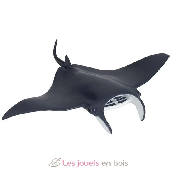 Manta - Papo 1 Manta - Papo