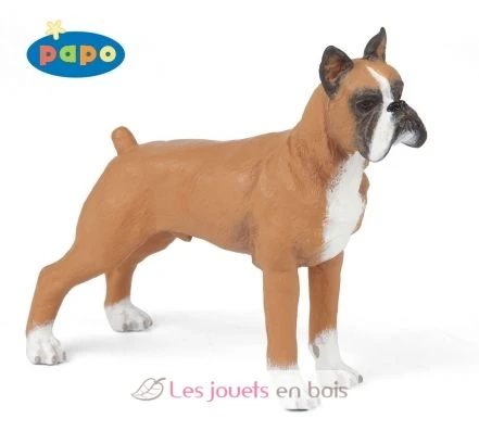 Boxer - Papo 1 Boxer - Papo