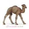Baby-Kamel - Papo