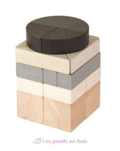 Fraktionsblöcke - Plan Toys -Modell Spielzeug Für Kinder pt5371 blocs fraction plan toys 2 1