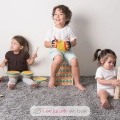 Ziehharmonika - Plan Toys -Modell Spielzeug Für Kinder pt6401 plan toys jouet musical bandoneon 1