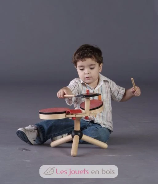 Batterie - Plan Toys 3 Batterie - Plan Toys – Bild 3