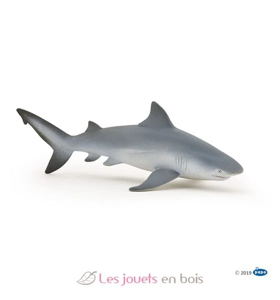 Bulldoggenhai - Papo 1 Bulldoggenhai - Papo