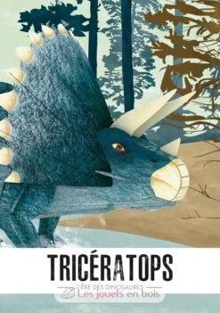 Die Ära Der Dinosaurier - Triceratops 3D - Sassi Junior -Modell Spielzeug Für Kinder sassi junior ere des dinosaures livre maquette triceratops 3d 2
