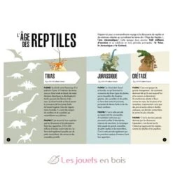 Die Ära Der Dinosaurier - Pteranodon 3D - Sassi Junior -Modell Spielzeug Für Kinder sassi junior ere des dinosaures pteranodon maquette 3d 3