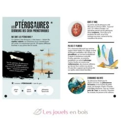 Die Ära Der Dinosaurier - Pteranodon 3D - Sassi Junior -Modell Spielzeug Für Kinder sassi junior ere des dinosaures pteranodon maquette 3d 4