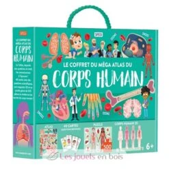 Atlas Menschlicher Körper - Sassi Junior