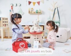 Arzttasche Rot - Tender Leaf Toys 14 Arzttasche Rot - Tender Leaf Toys -Modell Spielzeug Für Kinder tl8114 tender leaf toys valisette docteur en bois 4