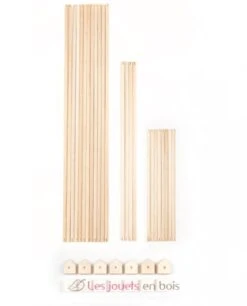 Trigonos Kernel Bio Arbaro - Trigonos -Modell Spielzeug Für Kinder trigonos kernel arbaro 4 2