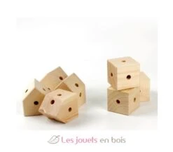 Trigonos Kernel Bio Arbaro - Trigonos -Modell Spielzeug Für Kinder trigonos kernel arbaro 5 7