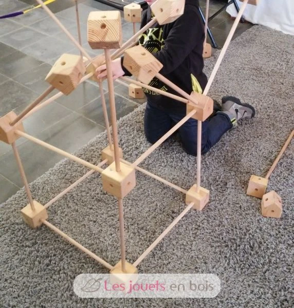 Trigonos Start Holzkiste - Trigonos 6 Trigonos Start Holzkiste - Trigonos – Bild 6